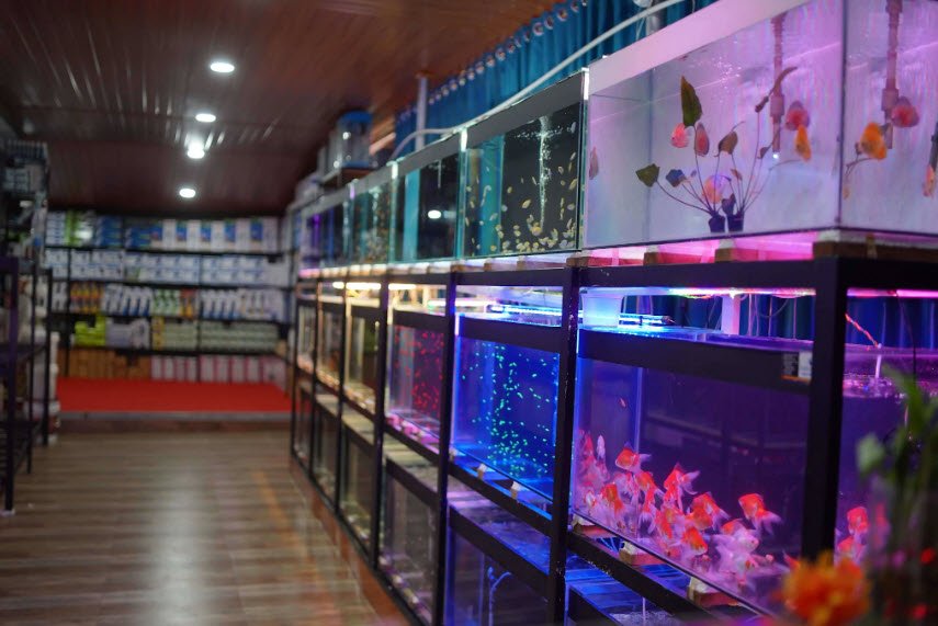 Varkala Aquarium